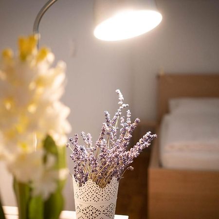 Free Parking! Linden Apartment, Ac, Smart Tv, Wifi Budapest Luaran gambar