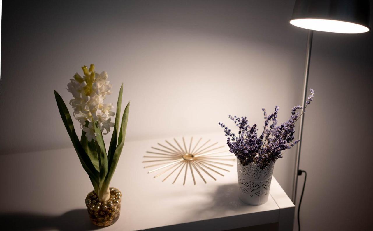 Free Parking! Linden Apartment, Ac, Smart Tv, Wifi Budapest Luaran gambar
